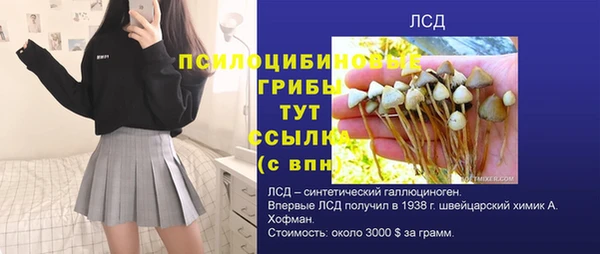 каннабис Каменногорск