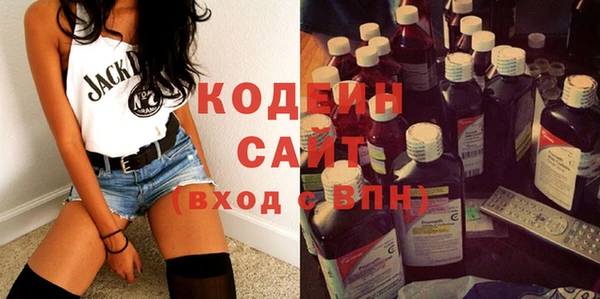 сатива Инта