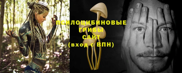 a pvp Каменск-Шахтинский